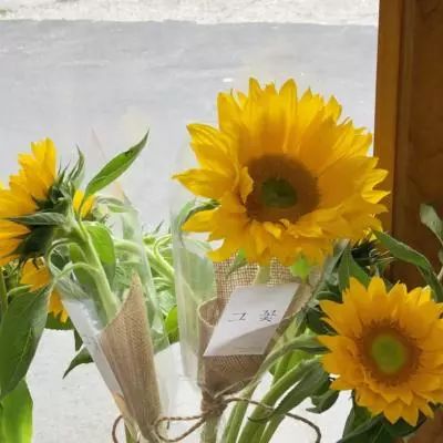 开元ky888网址进入2024入口截图